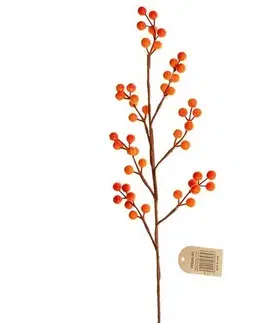 Kvety Vetvička s bobuľami na 7-mich výhonkoch, v. 75 cm