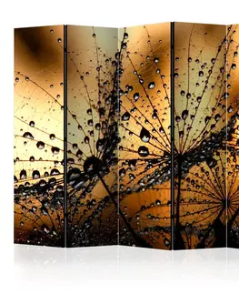 Paravány Paraván Dandelions in the Rain Dekorhome 225x172 cm (5-dielny)