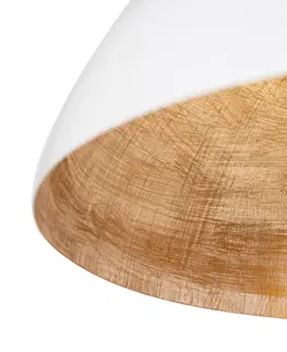 Zavesne lampy Industriálne závesné svietidlo biele so zlatom 50 cm - Magna Eco