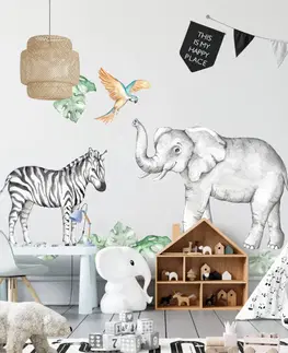 Nálepky na stenu Samolepky na stenu - Slon a zebra zo SAFARI