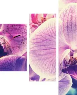 HODINY AKO OBRAZ 5-dielny obraz s hodinami, Orchidea, 100x70cm