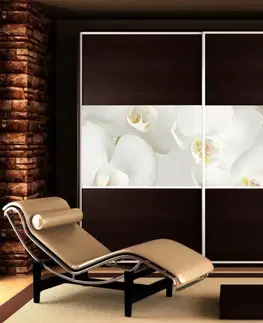Tapety na nábytok Nálepky na skriňu - BIELA orchidea