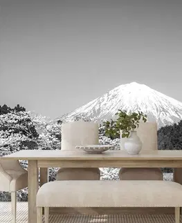 Samolepiace tapety Samolepiaca fototapeta hora Fuji v čiernobielom