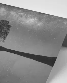 Čiernobiele tapety Fototapeta čiernobiela hviezdna obloha nad osamelým stromom