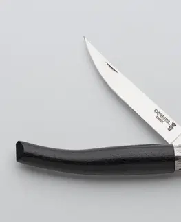 poľovníc Skladací nôž z nehrdzavejúcej ocele č. 10 Slim Eben 10 cm