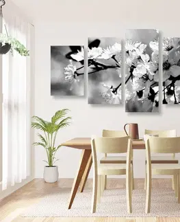 Čiernobiele obrazy 5-dielny obraz čerešňový kvet v čiernobielom prevedení