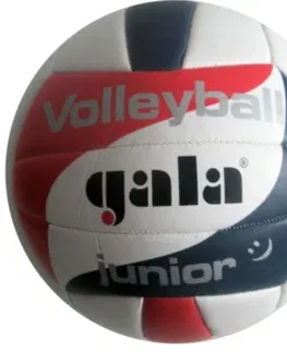 Volejbalové lopty Volejbalová lopta GALA junior BV5093S