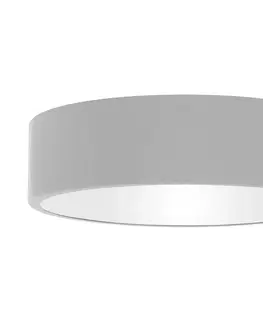 Svietidlá  Stropné svietidlo CLEO 2xE27/24W/230V pr. 30 cm šedá 