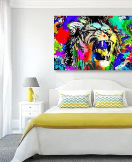 Pop art obrazy Obraz farebná levia hlava