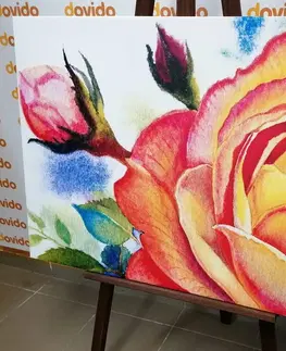 Obrazy kvetov Obraz ruže v ružových odtieňoch