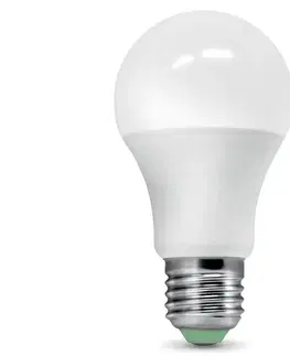LED osvetlenie Brilagi LED Žiarovka so senzorom súmraku ECOLINE A60 E27/9W/230V 3000K -  Brilagi 