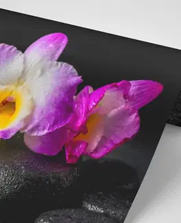 Samolepiace tapety Samolepiaca fototapeta orchidea na Zen kameňoch
