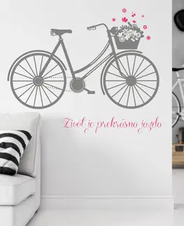 Nálepky na stenu Samolepky - Bicykel