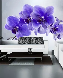 Tapety Samolepiaca tapeta fialová orchidea - Parting hour
