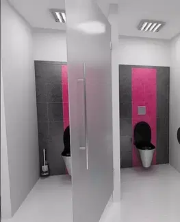 Záchody SANELA - Nerezová WC Závesné WC, antivandal, nerezová SLWN 04
