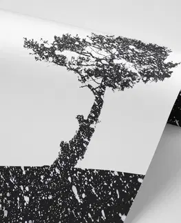 Čiernobiele tapety Tapeta silueta stromu