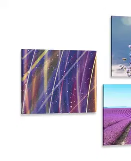 Zostavy obrazov Set obrazov levanduľové pole s abstrakciou