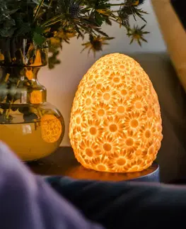 Vonkajšie dekoratívne svietidlá Goodnight Light Goodnight Light DAISY lamp LED na batérie melónová