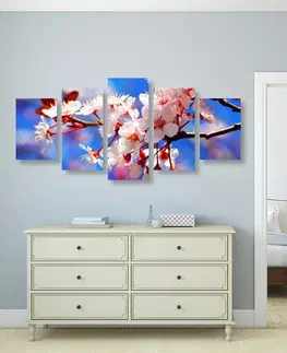 Obrazy kvetov 5-dielny obraz čerešňový kvet