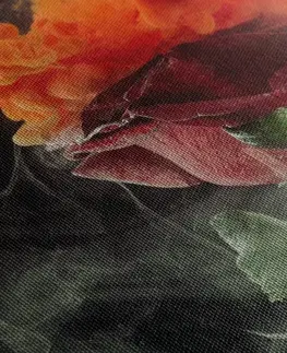 Obrazy kvetov Obraz ruža s abstraktnými prvkami