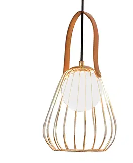 Závesné svietidlá Viokef Závesná lampa Levik so zlatou klietkou Ø 18 cm