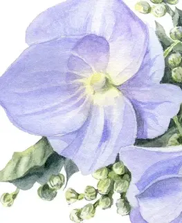Obrazy kvetov Obraz jemná kompozícia kvetov