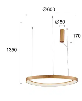 Závesné svietidlá Viokef Závesné LED svietidlo Loop, zlaté, Ø 60 cm
