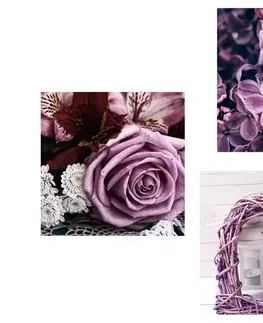 Zostavy obrazov Set obrazov nádherné fialové kvetiny so srdiečkom