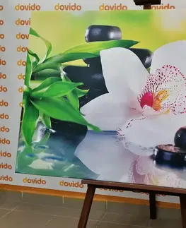 Obrazy Feng Shui Obraz japonská orchidea