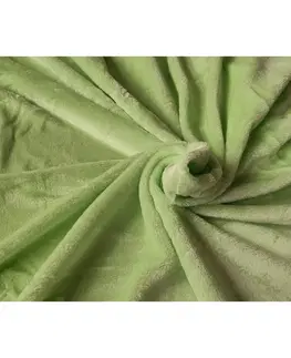 Plachty Jahu Prestieradlo Mikroplyš zelená, 90 x 200 cm