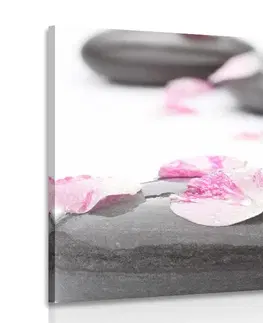 Obrazy Feng Shui Obraz lupienky na wellness kameňoch