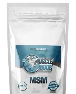 MSM MSM od Muscle Mode 250 g Neutrál