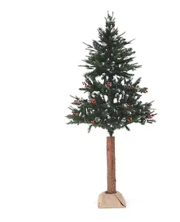 Vianočné stromčeky Vianočný stromček so šiškami na pníku, posnežený, 180 cm, PNIK TYP 1