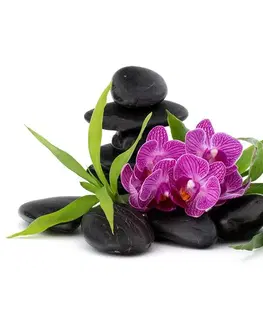 Tapety Feng Shui Tapeta fialová orchidea v Zen zátiší