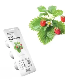 Gadgets Click and Grow lesné jahody