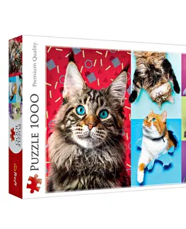 Drobné dekorácie a doplnky Puzzle 1000 dielikov "Šťastné mačky"