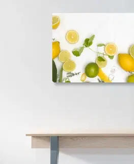 Obrazy jedlá a nápoje Obraz mix citrusových plodov