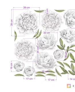 Nálepky na stenu Samolepiace tapety kvetov - Pivonky biele
