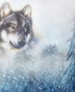 Tapety zvieratá Samolepiaca tapeta vlk v zasneženej krajine