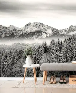 Čiernobiele tapety Fototapeta čiernobiele zamrznuté hory