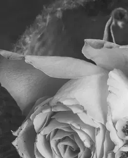 Čiernobiele obrazy Obraz ruža a srdiečko vo vintage čiernobielom prevedení
