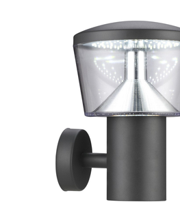 Záhradné lampy Luxera Luxera  - LED Vonkajšie nástenné svietidlo DUBLIN LED/11W/230V 