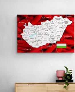 Obrazy mapy Obraz mapa Maďarska s typickým pozadím