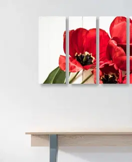 Obrazy kvetov 5-dielny obraz červené tulipány v rozkvete
