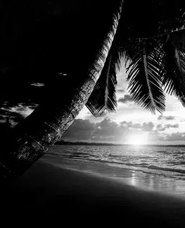Čiernobiele tapety Fototapeta čiernobiela karibská pláž