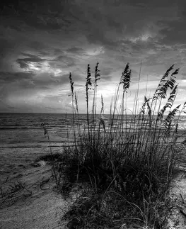 Čiernobiele tapety Fototapeta západ slnka na pláži v čiernobielom