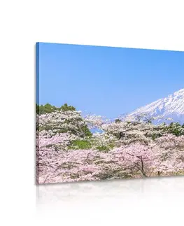 Obrazy prírody a krajiny Obraz hora Fuji