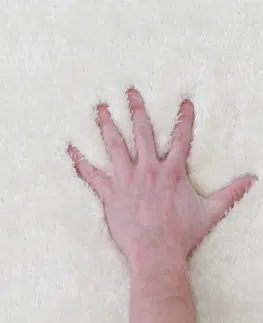 Koberce a koberčeky KONDELA Amida koberec 80x150 cm snehobiela