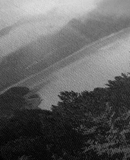 Čiernobiele obrazy Obraz rieka uprostred lesa v čiernobielom prevedení