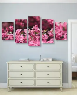 Obrazy kvetov 5-dielny obraz detailné kvety čerešne